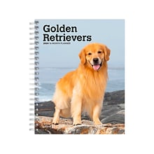 2024 BrownTrout Golden Retrievers 6 x 7.75 Weekly & Monthly Engagement Planner, Multicolor (978197
