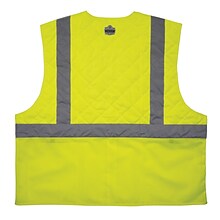 Chill-Its 6668 Hi-Vis Safety Cooling Vest, ANSI Class R2, Lime, Medium (12713)