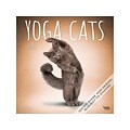 2024 BrownTrout Yoga Cats OFFICIAL 12 x 12 Monthly Wall Calendar (9781975467012)