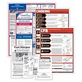 ComplyRight Federal, State and Restaurant (English) Labor Law Poster Set, Maine (E50MEREST)