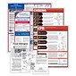 ComplyRight Federal, State and Restaurant (English) Labor Law Poster Set, Nevada (E50NVREST)