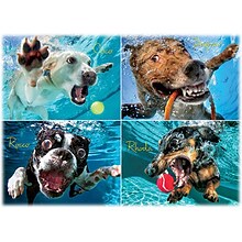 Willow Creek Underwater Dogs: Pool Pawty 1000-Piece Jigsaw Puzzle (48192)