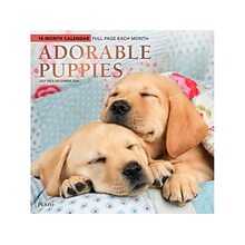 2023-2024 Plato Adorable Puppies 12 x 12 Academic & Calendar Monthly Wall Calendar (9781975467203)