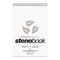 Roaring Spring Enviroshades Steno Notebook, 6 x 9, 80 Sheets/Pad, Gregg Ruled, Recycled Gray Paper
