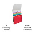 TRU RED Plastic Accordion File, 6-Pocket, Letter Size, Multicolor (TR51848)