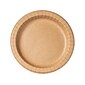 Dixie ecosmart 10.06"Dia. Paper Plate, Brown, 125 Plates/Pack (RFP10WS)