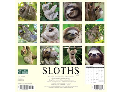 2024 Willow Creek Sloths 12 x 12 Monthly Wall Calendar (35436)