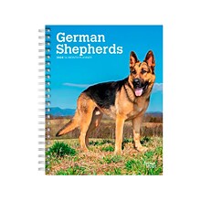 2024 BrownTroutGerman Shepherds 6 x 7.75 Weekly & Monthly Engagement Planner, Multicolor (97819754