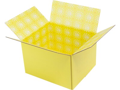 12 L x 10 W x 8 D Shipping Boxes, Double Wall, 2/Pack (2022025)