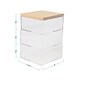 Martha Stewart Brody Plastic Storage Organizer Bin with Light Natural Paulownia Wood Lid, Clear, 3/Set (BEPB45173WDCLNT)
