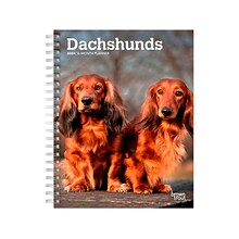2024 BrownTrout Dachshunds 6 x 7.75 Weekly & Monthly Engagement Planner, Multicolor (9781975468781
