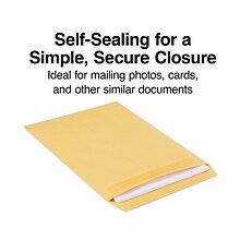 Staples® Self-Sealing Kraft Catalog Envelopes; 9-1/2 x 12-1/2, Brown, 100/Box (17066)