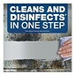 Spic and Span Disinfecting All-Purpose Spray and Glass Cleaner, Fresh Scent, 1 gal. Bottle (PGC58773EA)