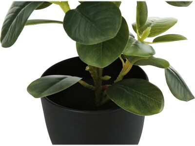 Monarch Specialties Inc. Ficus Elastica in Pot, 2/Pack (I 9585)