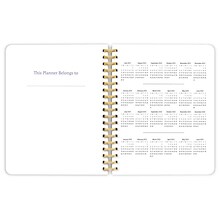 2024 Plato Crackled Blush 6 x 7.75 Academic & Calendar Weekly Planner, Paperboard Cover, Multicolo