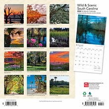 2024 BrownTrout South Carolina Wild & Scenic 12 x 24 Monthly Wall Calendar (9781975465131)