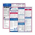 ComplyRight Federal and State Labor Law Poster Set (English), Mississippi (E50MS)