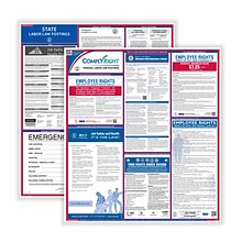 ComplyRight Federal and State Labor Law Poster Set (English), Indiana (E50IN)