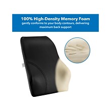 Mount-It! Ergo Collection Memory Foam Full-Back Cushion, Black (MI-1106)
