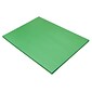 Prang 18" x 24" Construction Paper, Holiday Green, 50 Sheets/Pack (P8017-0001)