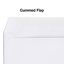 Staples® Gummed Double-Window 4 3/16 x 9 Envelopes for Laser Forms; White 1,000/Box (381911/17045)