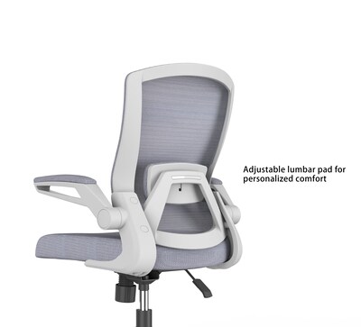 RAYNOR GROUP ION Fabric Task Chair, Blue/White (ION-WH-BLU)