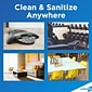 CloroxPro 4 in One Disinfectant & Sanitizer, Citrus Scent, 14 oz., 12/Carton (31043)