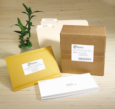 Avery EcoFriendly Laser/Inkjet Address Labels, 1" x 2-5/8", White, 30 Labels/Sheet, 25 Sheets/Pack (48160)