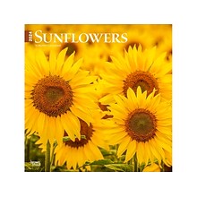 2024 BrownTrout Sunflowers 12 x 12 Monthly Wall Calendar (9781975465223)