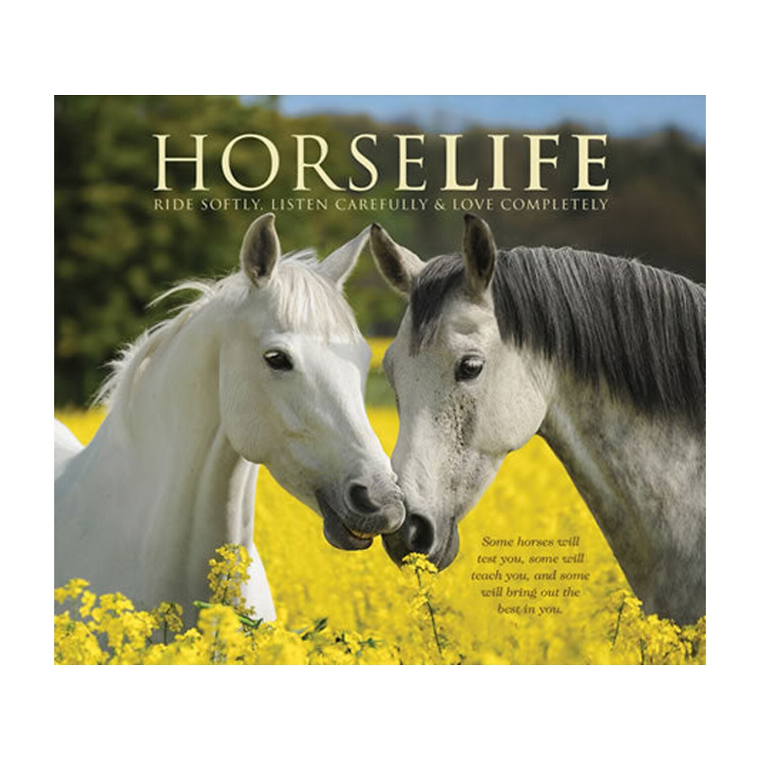 Willow Creek Horselife, Chapter Book, Hardcover (48215)