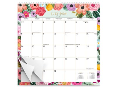 2024-2025 Plato Bonnie Marcus OFFICIAL 12 x 12 Academic & Calendar Monthly Desk or Wall Calendar (