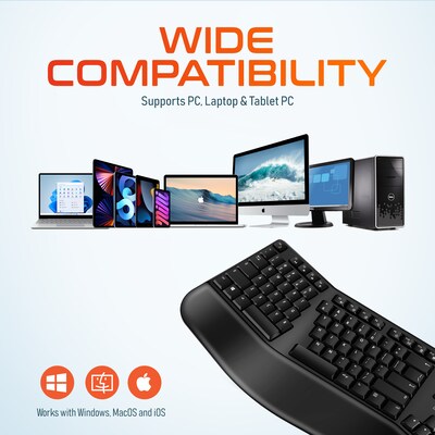 Delton KB200 & S12 Wireless Ergonomic Keyboard and Optical Mouse Combo, Black (DKMKITERG12-WB)
