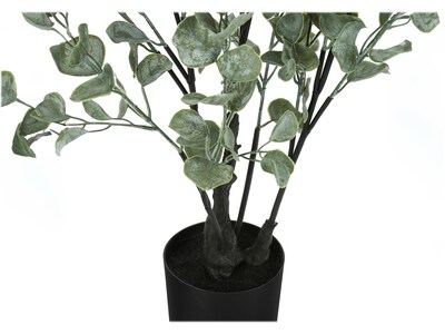 Monarch Specialties Inc. Eucalyptus in Pot (I 9562)