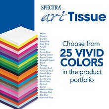 Spectra Deluxe Bleeding Art Tissue, 20 x 30, White, 24 Sheets/Pack (P0059002)