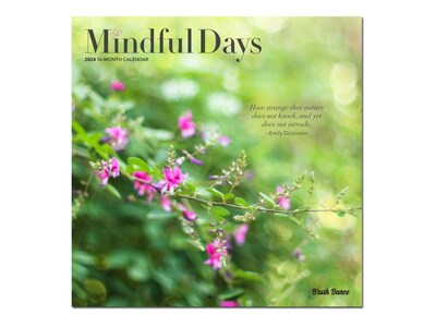 2024 Brush Dance Mindful Days 12 x 12 Monthly Wall Calendar (9781975469986)