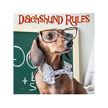 Dachshund Rules, Chapter Book, Hardcover (47744)