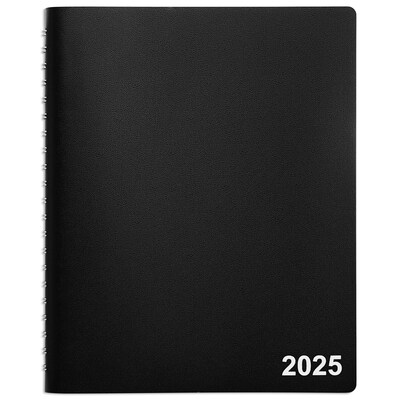 2025 Staples 8 x 11 Daily Appointment Book, Black (ST58453-25)