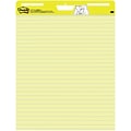 Post-it Super Sticky Easel Pad, 25 x 30 in., 2 Pads, 30 Sheets/Pad, Lined, 2x the Sticking Power, Ca