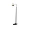 Adesso Lucas 54 Matte Black/Antique Brass Floor Lamp with Cone Shade (4263-01)