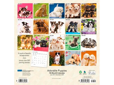 2023-2024 Plato Adorable Puppies 12 x 12 Academic & Calendar Monthly Wall Calendar (9781975467203)