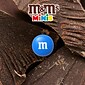 M&M's Minis Milk Chocolate Pieces, 1.08 oz., 24/Box (Package May Vary) (209-00061)