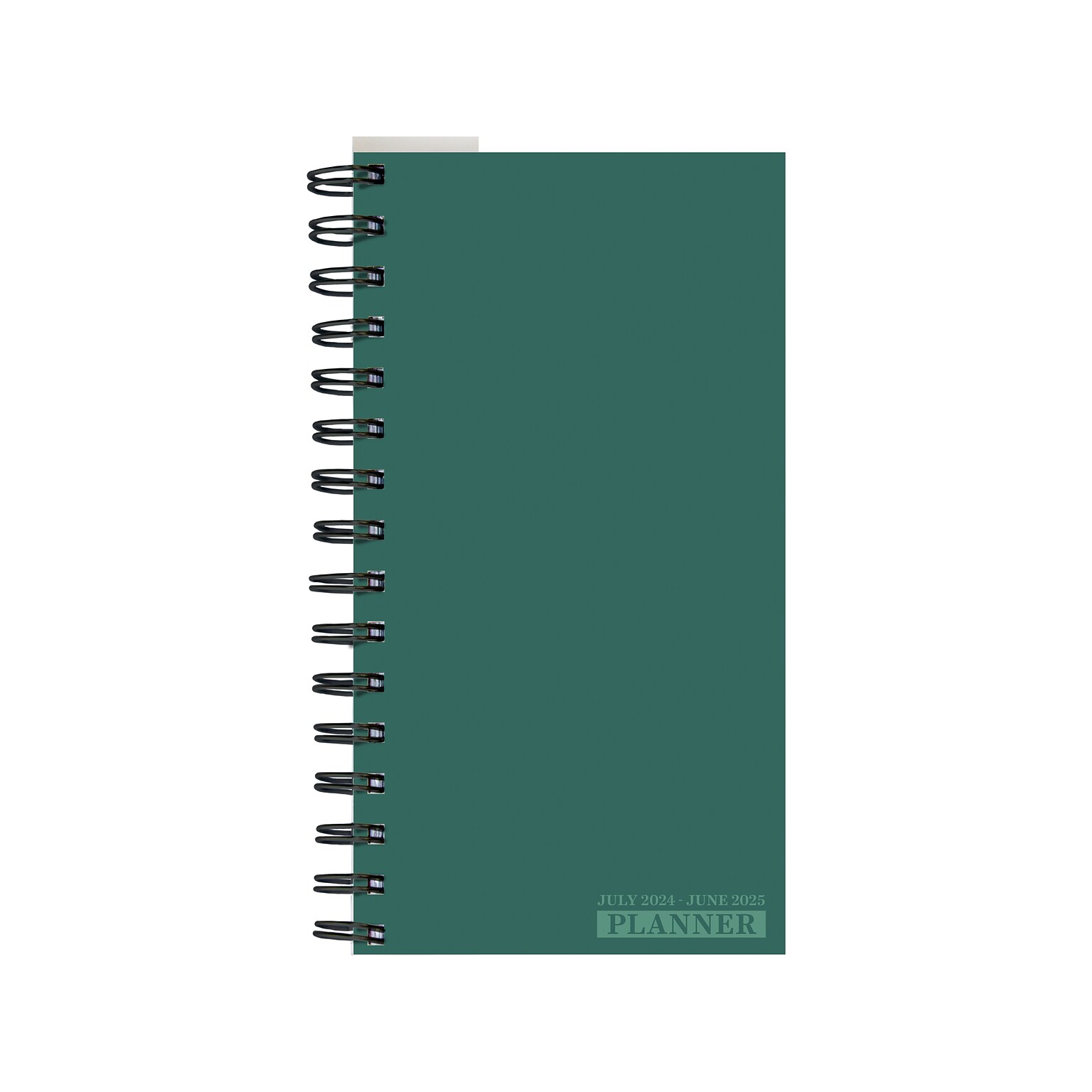 2024-2025 TF Publishing Sea Green 3.5 x 6.5 Academic Weekly & Monthly Planner, Paperboard Cover, Green (AY25-7504)