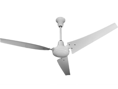 TPI E-CF Series 56 Ceiling Fan, White (08198202)