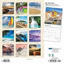 2024 Plato By the Sea 12 x 24 Monthly Wall Calendar (9781975466244)