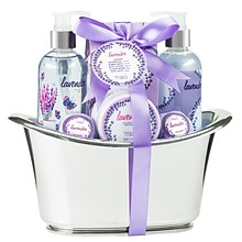 Freida and Joe Lavender Fragrance Bath & Body Spa Gift Set in a Silver Tub Basket (FJ-115)