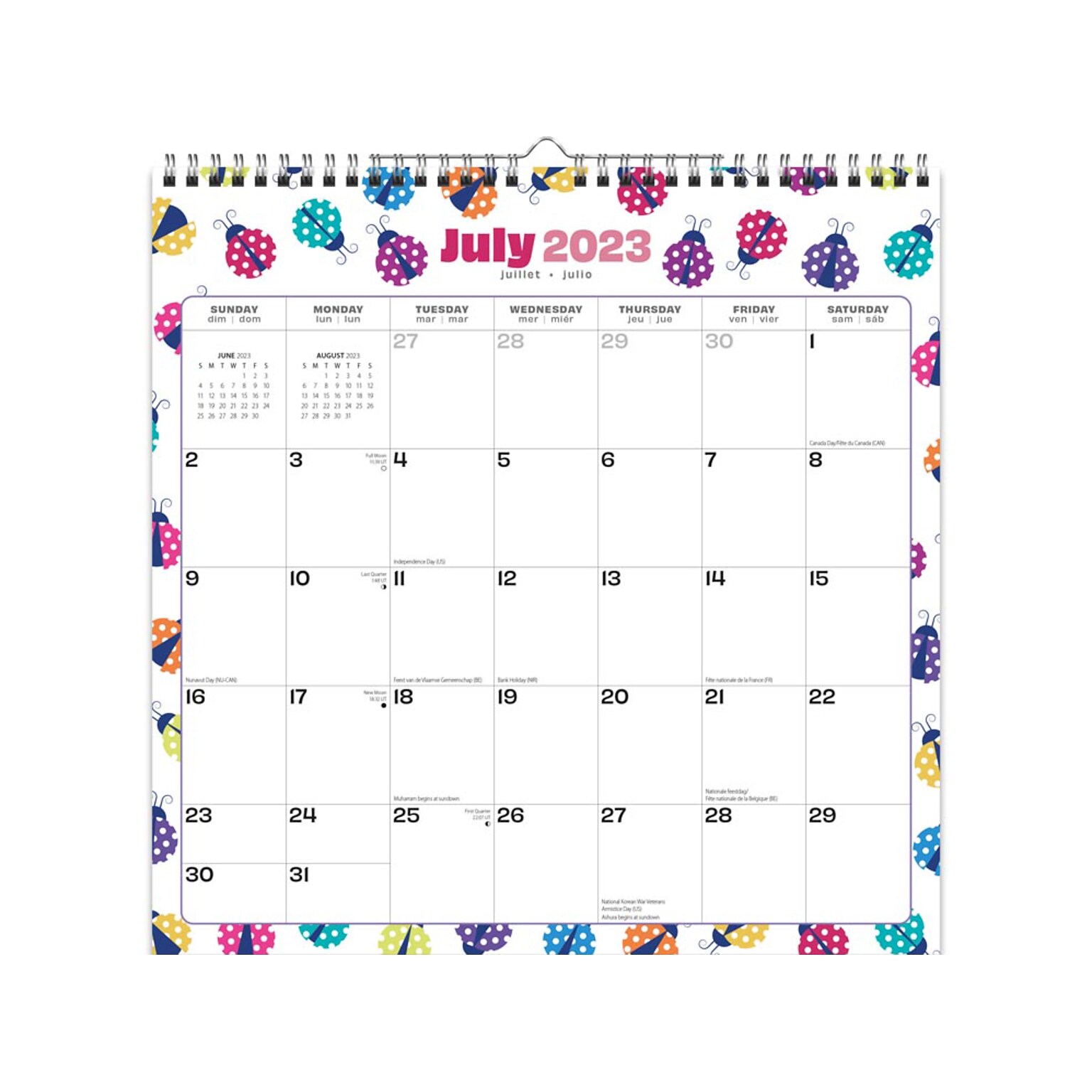 2023-2024 StarGifts Ladybug Party 12 x 12 Academic & Calendar Monthly Wall Calendar (9781975472016)
