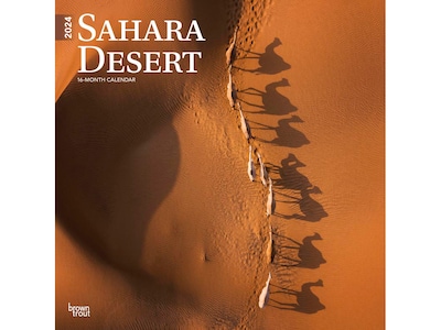 2024 BrownTrout Sahara Desert 12 x 12 Monthly Wall Calendar (9781975467609)