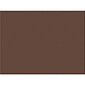 Southwest School Supply 18" x 24" Construction Paper, Dark Brown, 50 Sheets/Pack (P103088)