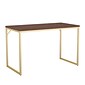 Martha Stewart Noah 47"W Home Office Parsons Desk, Walnut/Polished Brass (XUMBLK106BRGLD)