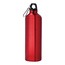 Pacific 26 oz Aluminum Sports Bottle with Mini Carabiner